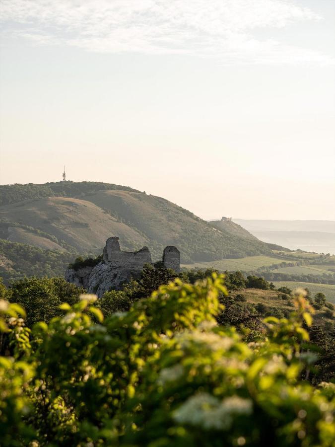 Marinada Vinicni Dum Bed & Breakfast Pavlov Dış mekan fotoğraf