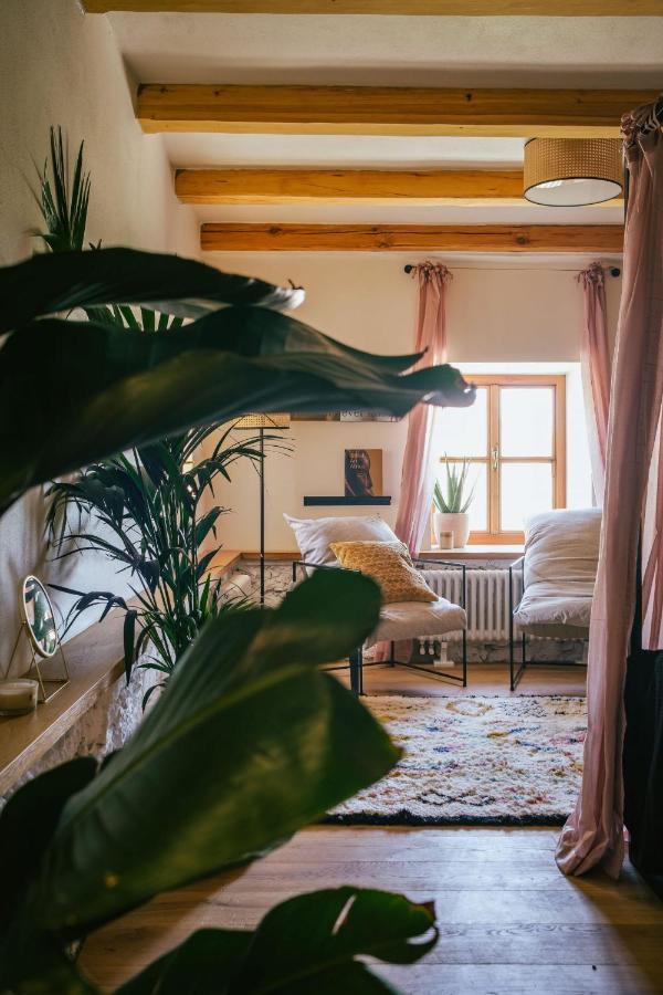 Marinada Vinicni Dum Bed & Breakfast Pavlov Dış mekan fotoğraf