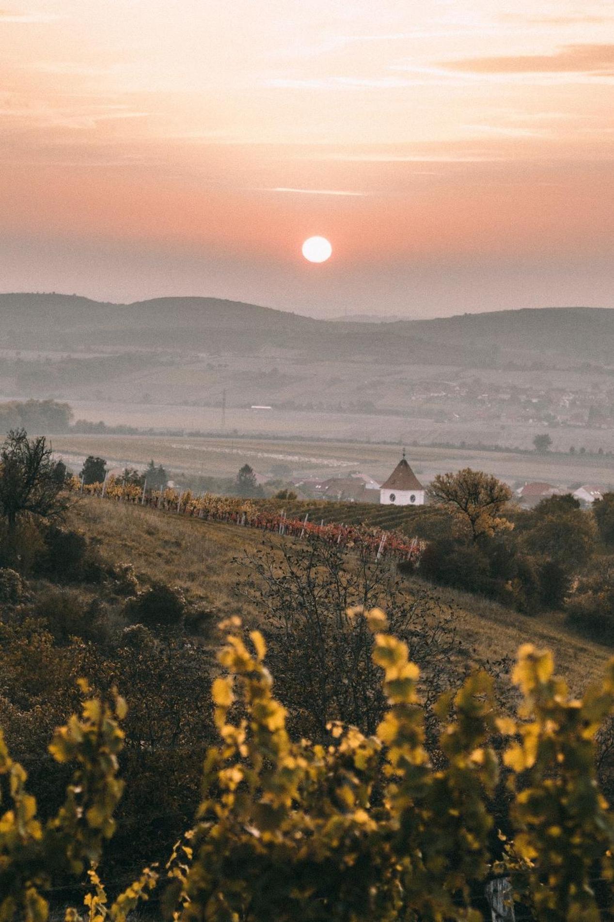 Marinada Vinicni Dum Bed & Breakfast Pavlov Dış mekan fotoğraf