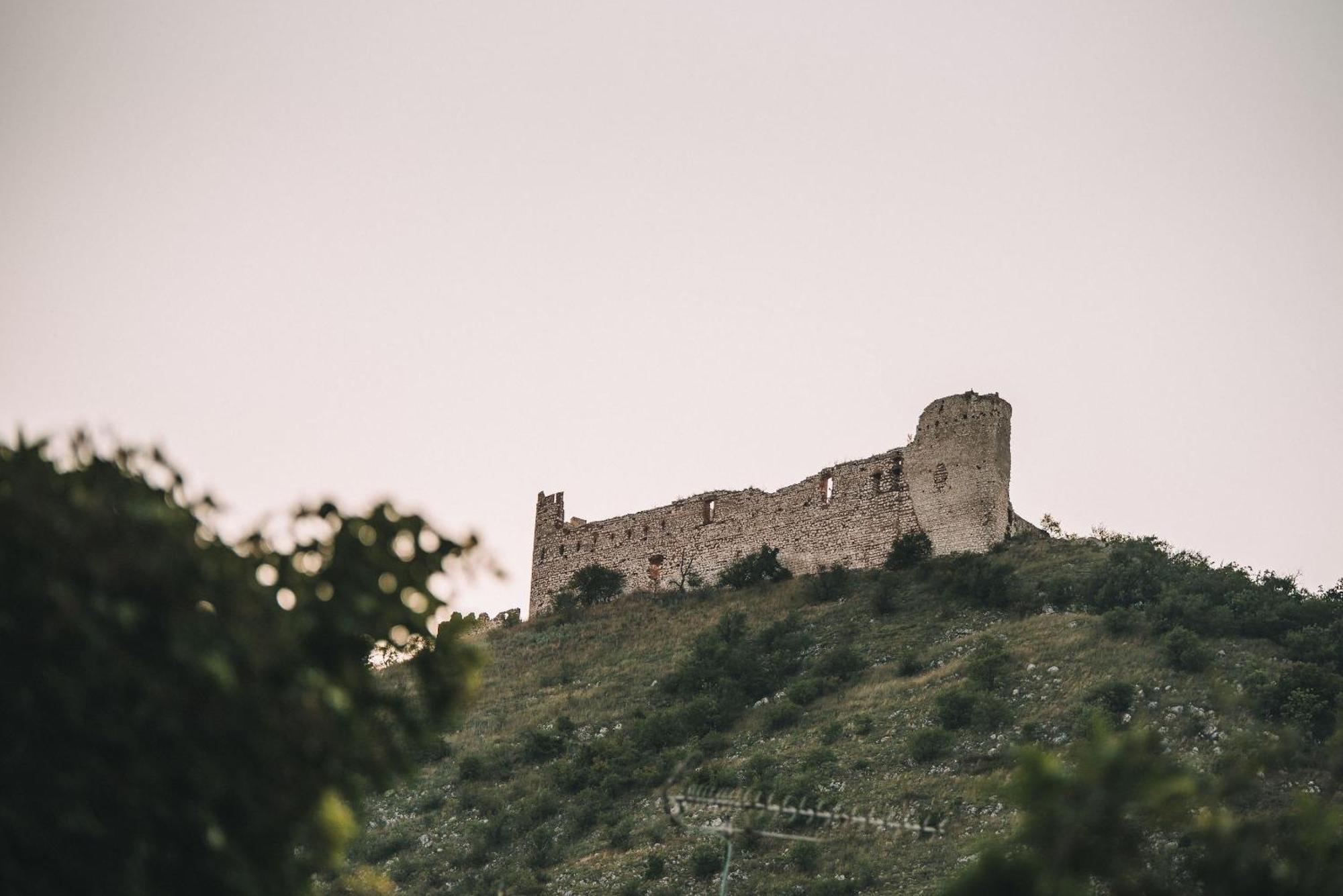 Marinada Vinicni Dum Bed & Breakfast Pavlov Dış mekan fotoğraf