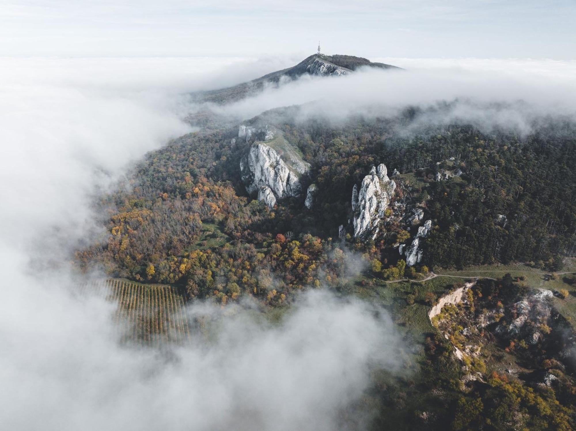 Marinada Vinicni Dum Bed & Breakfast Pavlov Dış mekan fotoğraf